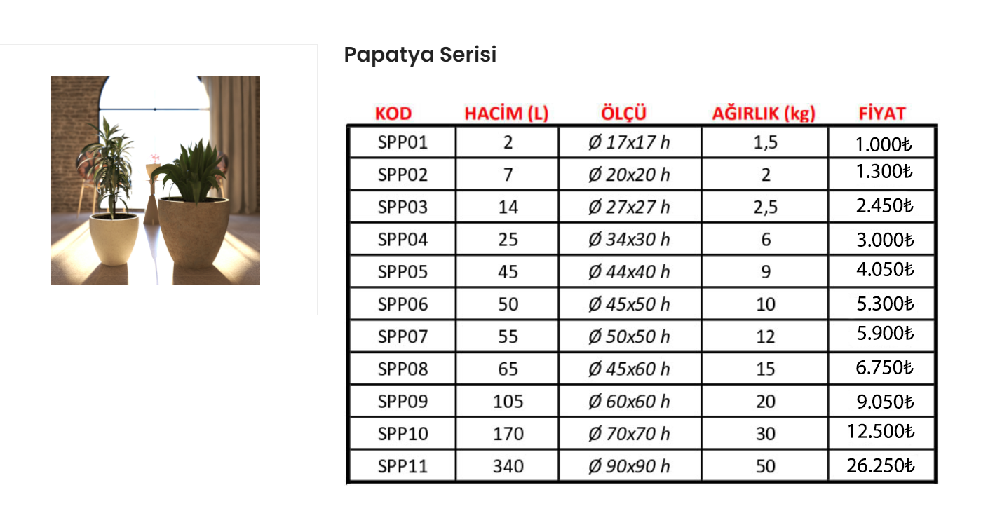 24  PAPATYA SERİSİ